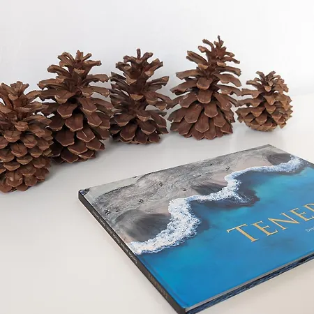 Apartment Bright Cosy 1br 7 Min To Siam Park Mall *